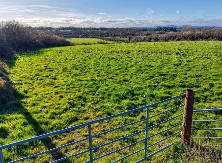 Carrowmanagh, Danesfort