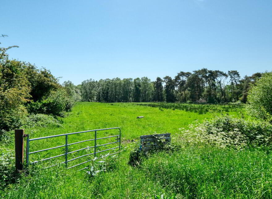 Derryadd, Keenagh
