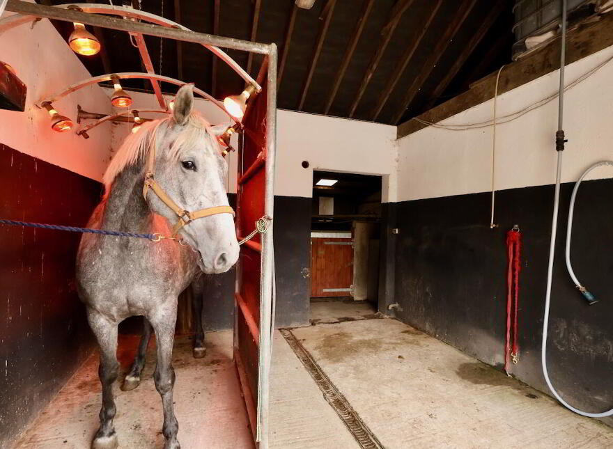 Creaghduff Stables, Coosan, Athlone, N37K3E3