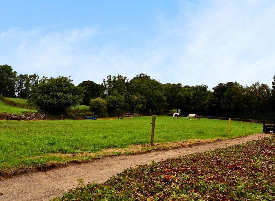 Creaghduff Stables, Coosan, Athlone, N37K3E3
