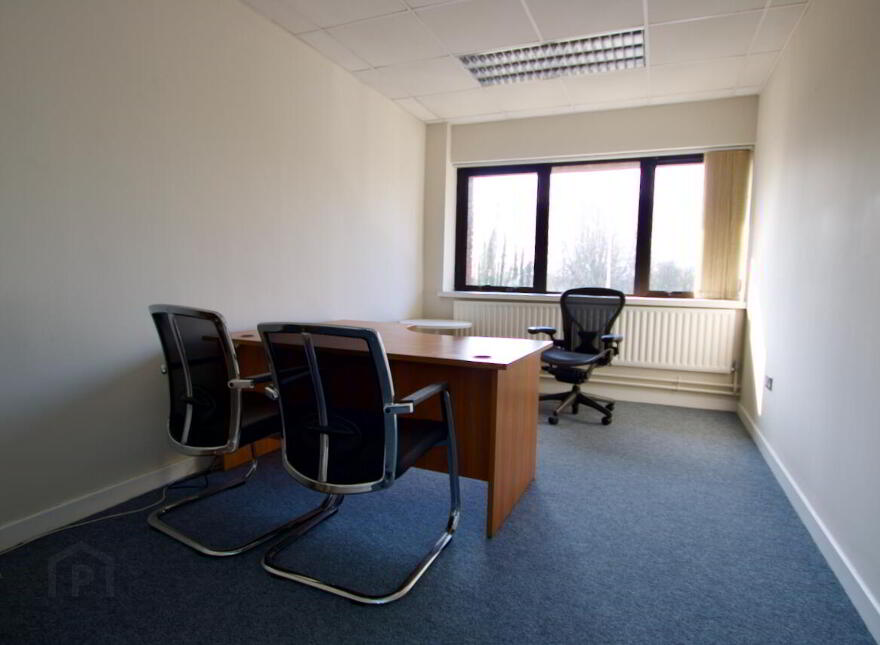 UNITS 1A & 1B IDA Business & Technology Park, Garrycastle, Athlone
