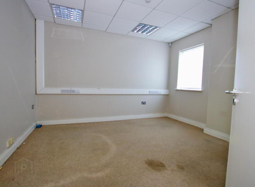UNITS 1A & 1B IDA Business & Technology Park, Garrycastle, Athlone
