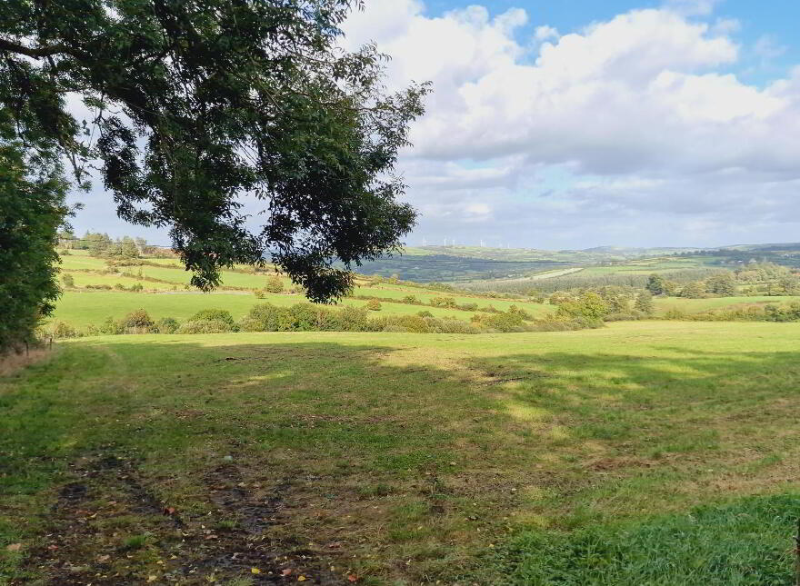 Dromtrasna, Abbeyfeale