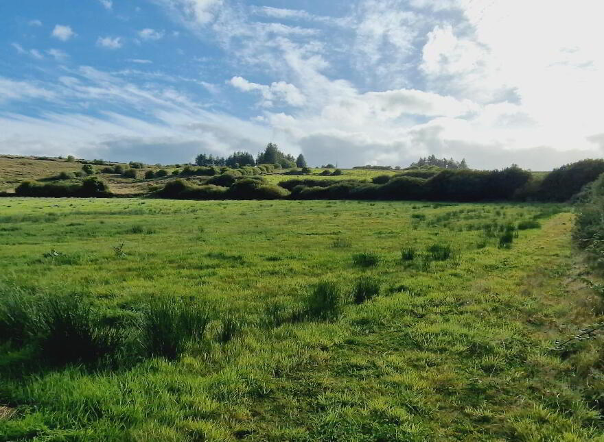 Dromtrasna, Abbeyfeale