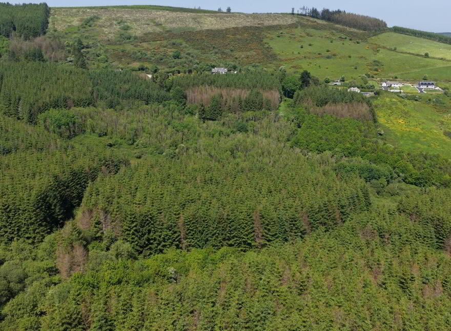 Ballyine, Carrigkerry, Athea