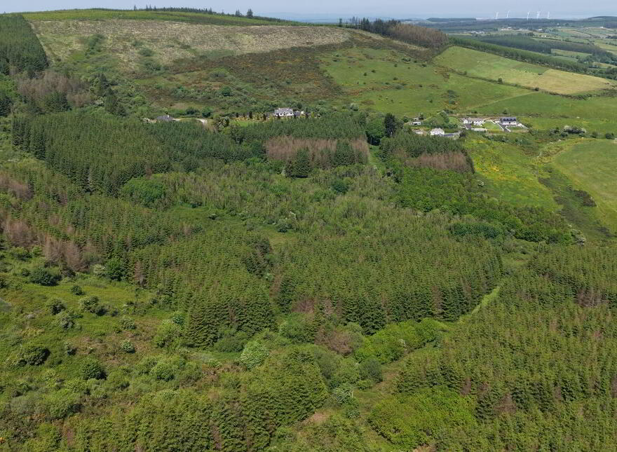 Ballyine, Carrigkerry, Athea