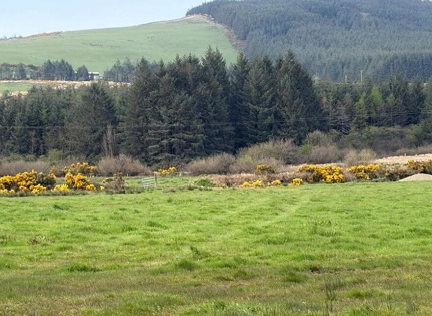 Foilnacanna, Kilcommon, Kilcommon