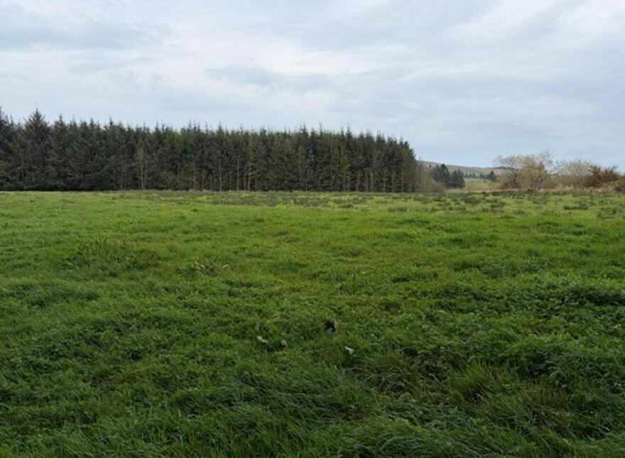 Foilnacanna, Kilcommon, Kilcommon photo