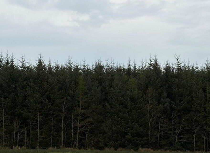 Foilnacanna, Kilcommon, Kilcommon