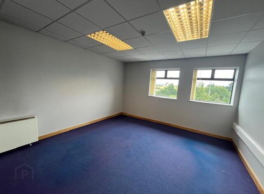 Martyrs Road, Nenagh, E45X579