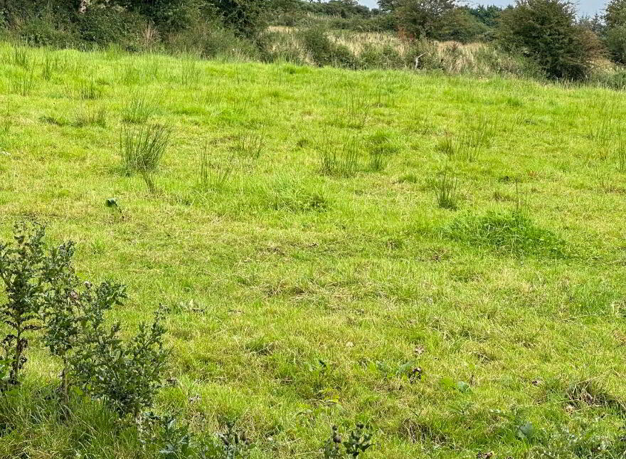 Attishane, Ballyhaunis, Garranlahan