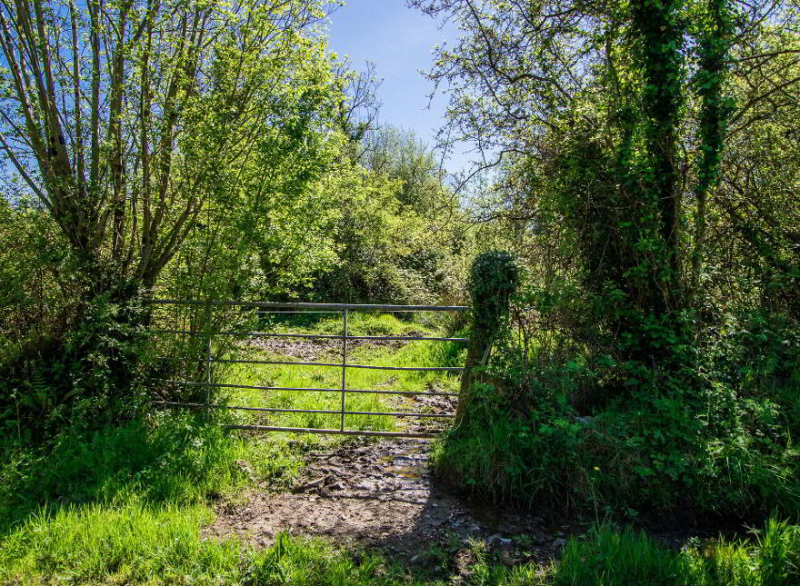Land, Carrigeen And Kilgarve, Rooskey