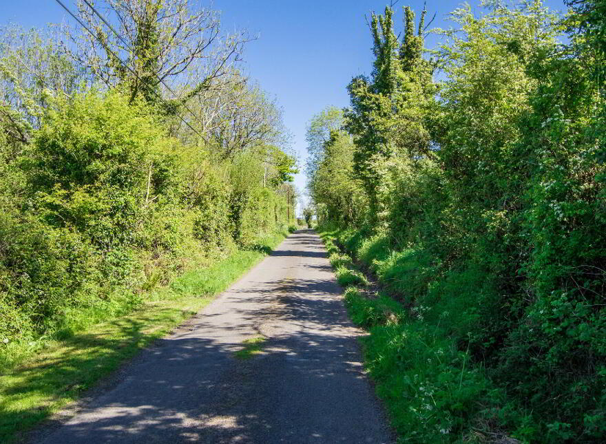 Land, Carrigeen And Kilgarve, Rooskey