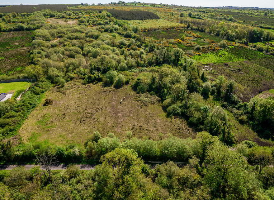 Land, Carrigeen And Kilgarve, Rooskey