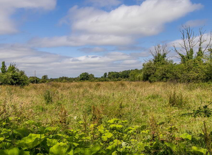 Land, Kilbarry, Cloonfower