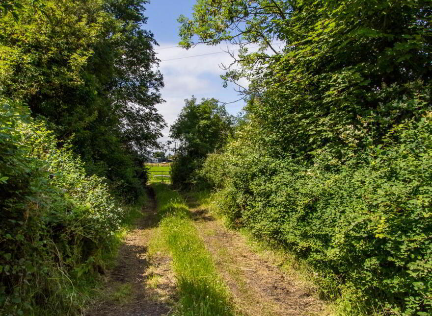 Land, Kilbarry, Cloonfower