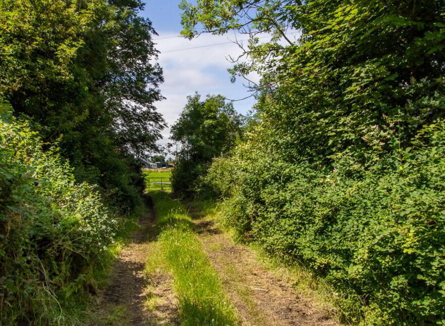 Land, Kilbarry, Cloonfower