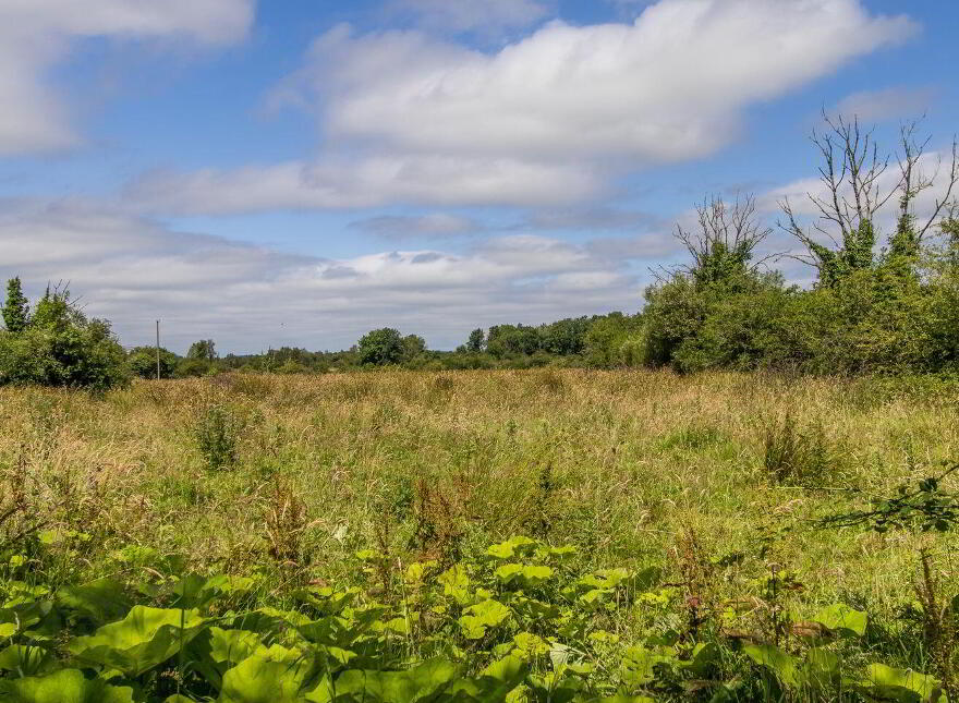 Land, Kilbarry, Cloonfower