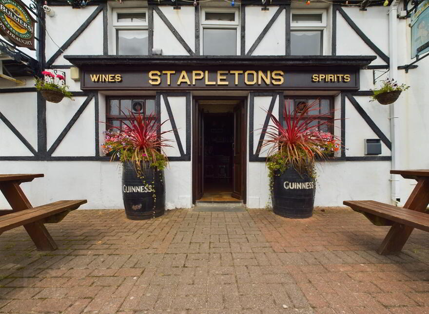 Stapleton's Bar, Semi Detached Home & Commercial Plot, Main Street, Slieverue, X91EK88