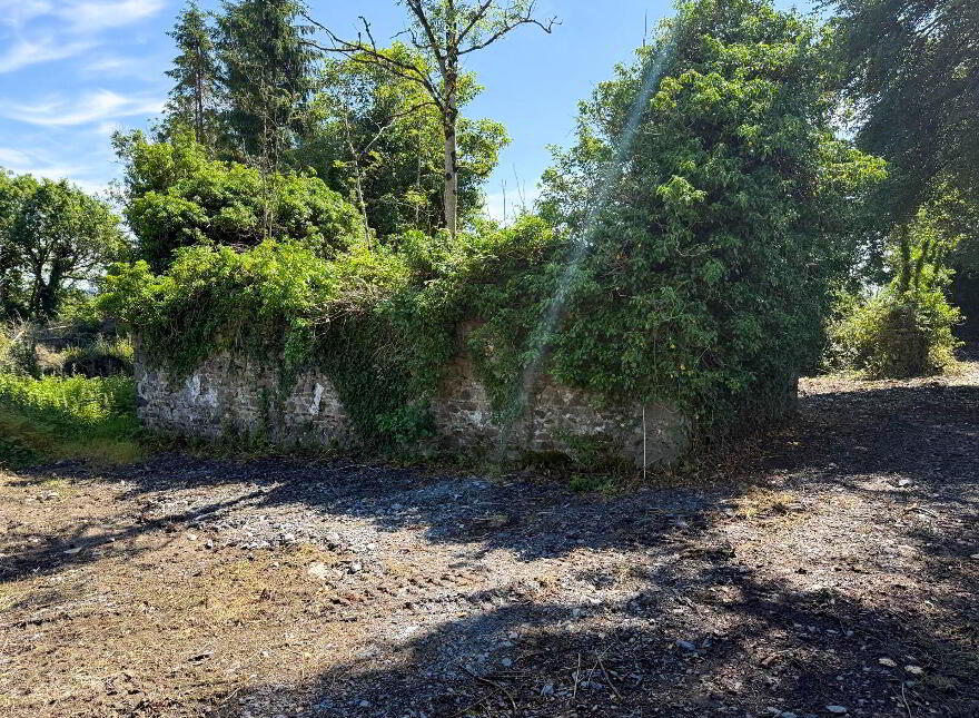 Drumroragh, Ballyjamesduff
