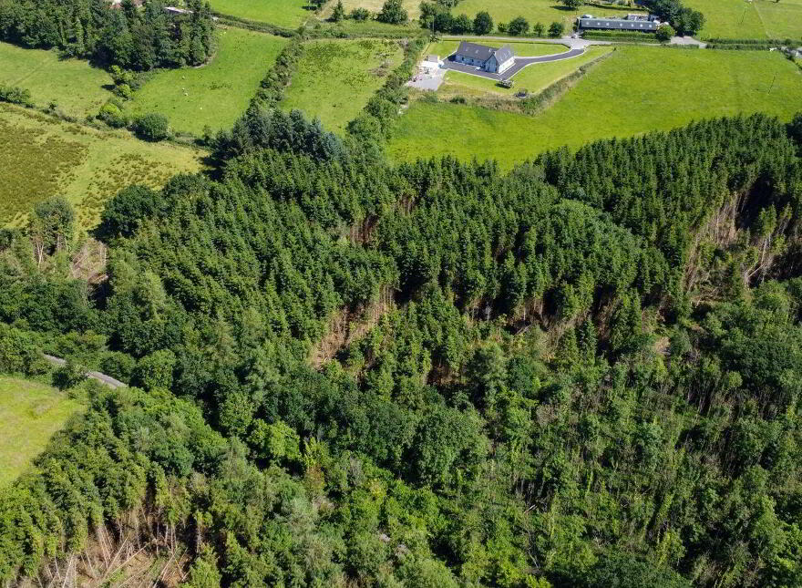 Drumroragh, Ballyjamesduff