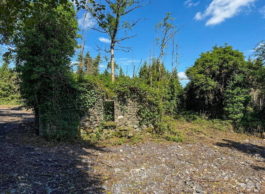 Drumroragh, Ballyjamesduff