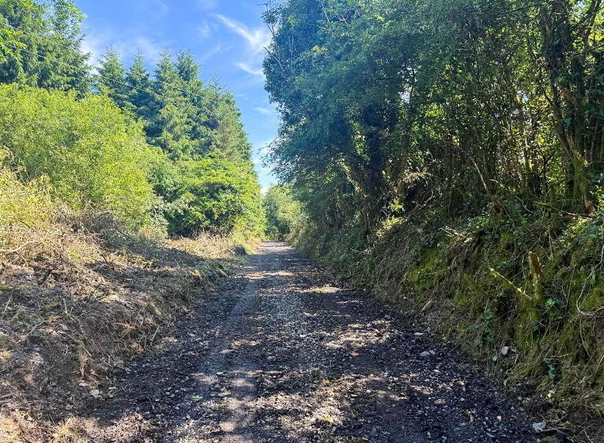 Drumroragh, Ballyjamesduff