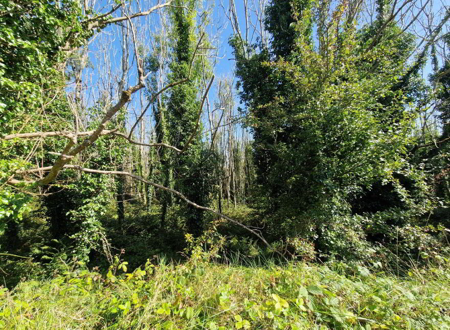 Logcurragh, Swinford