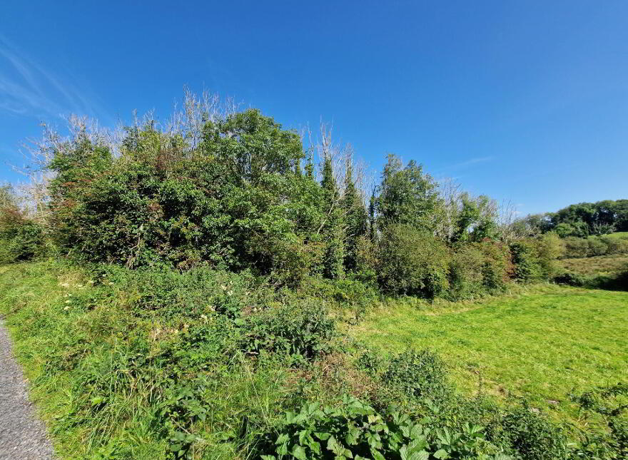 Logcurragh, Swinford