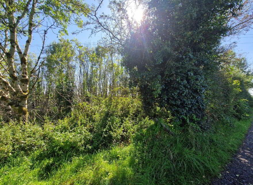 Logcurragh, Swinford