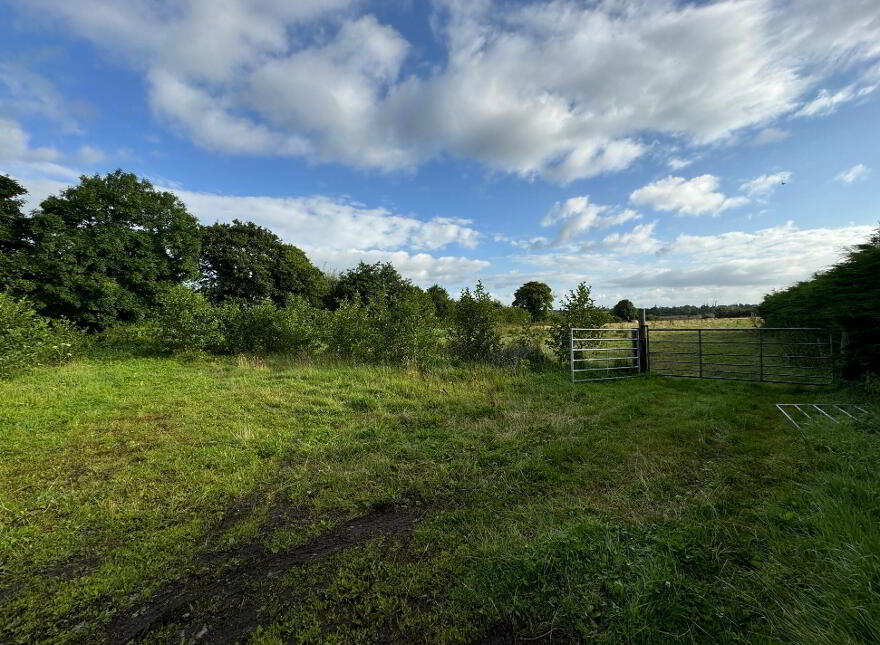 Scardaune, Crossboyne