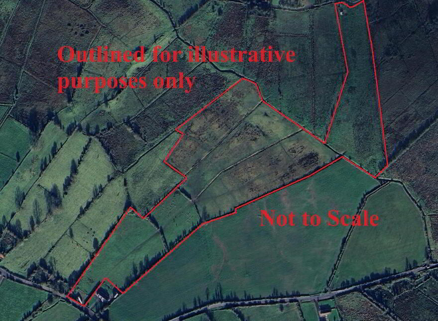 Scardaune, Crossboyne