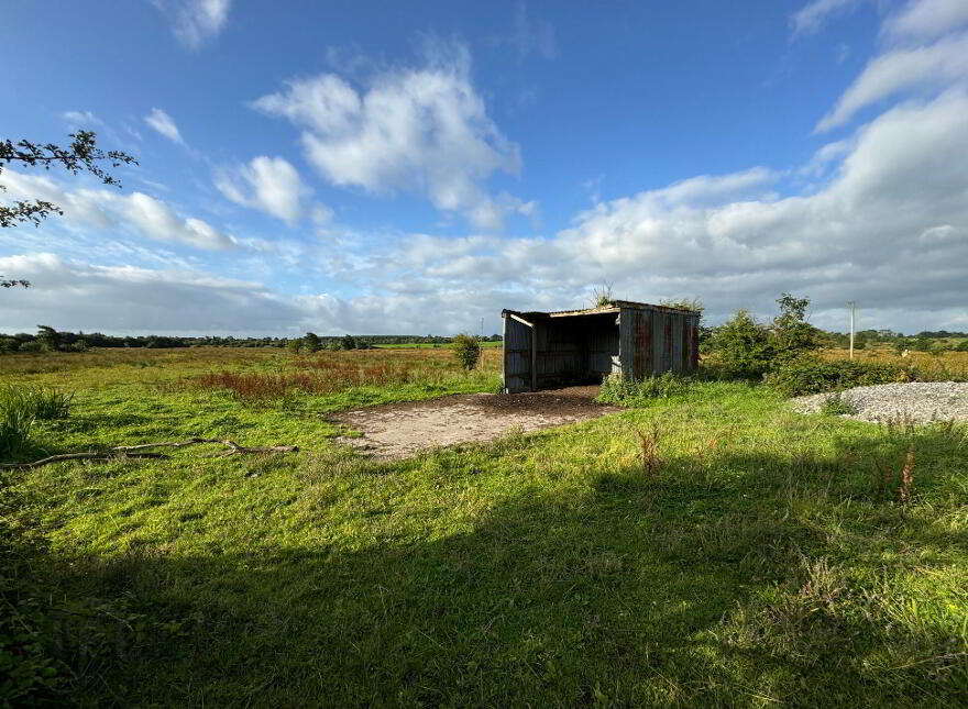 Scardaune, Crossboyne