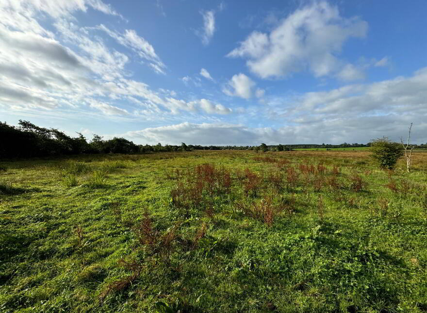 Scardaune, Crossboyne