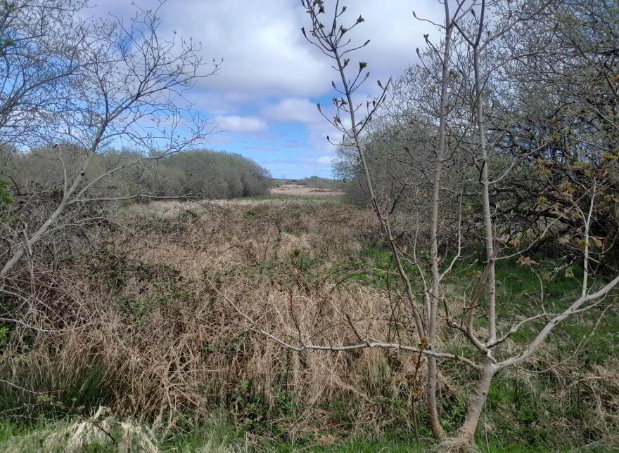 Knocks, Swinford