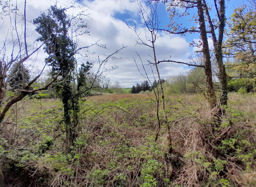 Knocks, Swinford