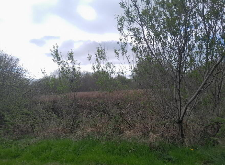 Knocks, Swinford