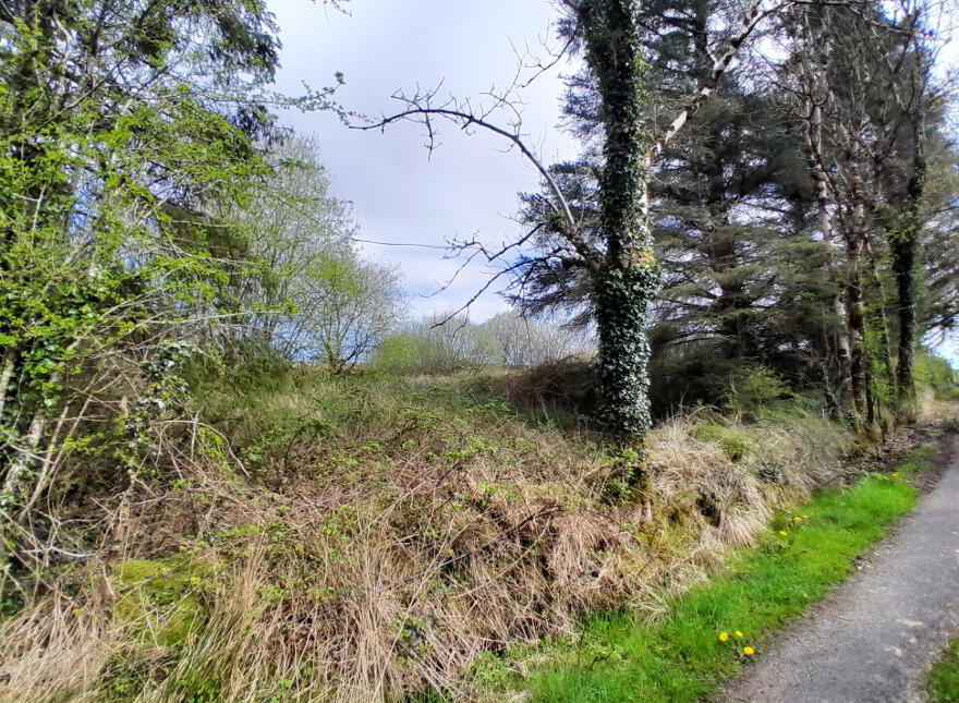 Knocks, Swinford