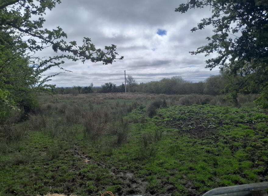 Knocks, Swinford