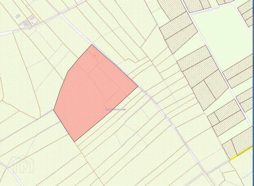Knocks, Swinford
