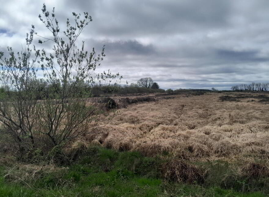 Knocks, Swinford
