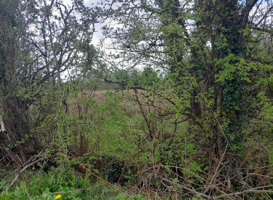 Knocks, Swinford
