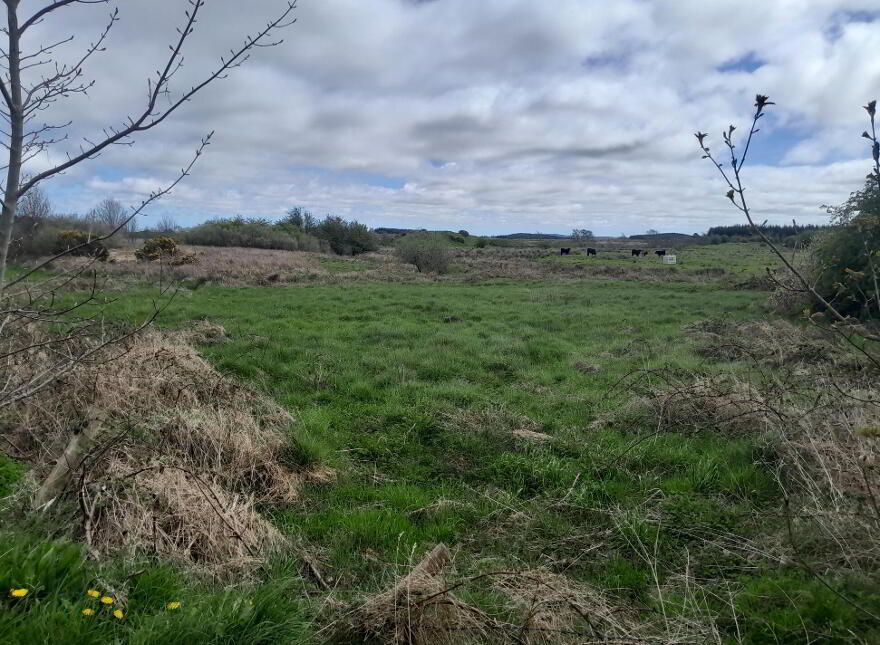 Knocks, Swinford