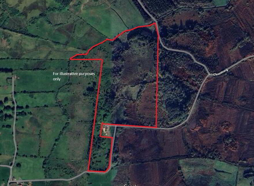 Toomore, Foxford