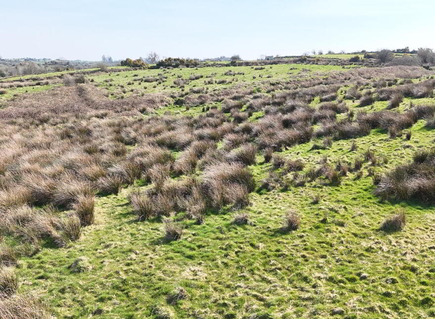 Lismirrane, Swinford