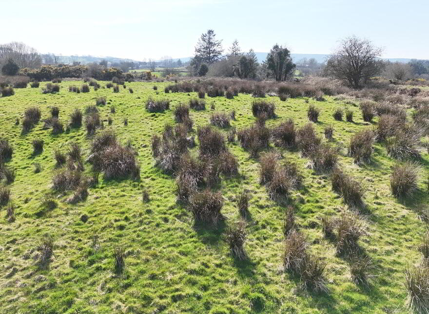 Lismirrane, Swinford