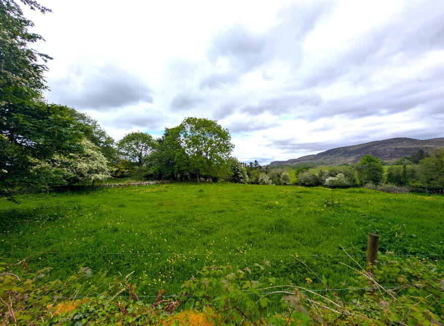 Moorbrook, Foxford