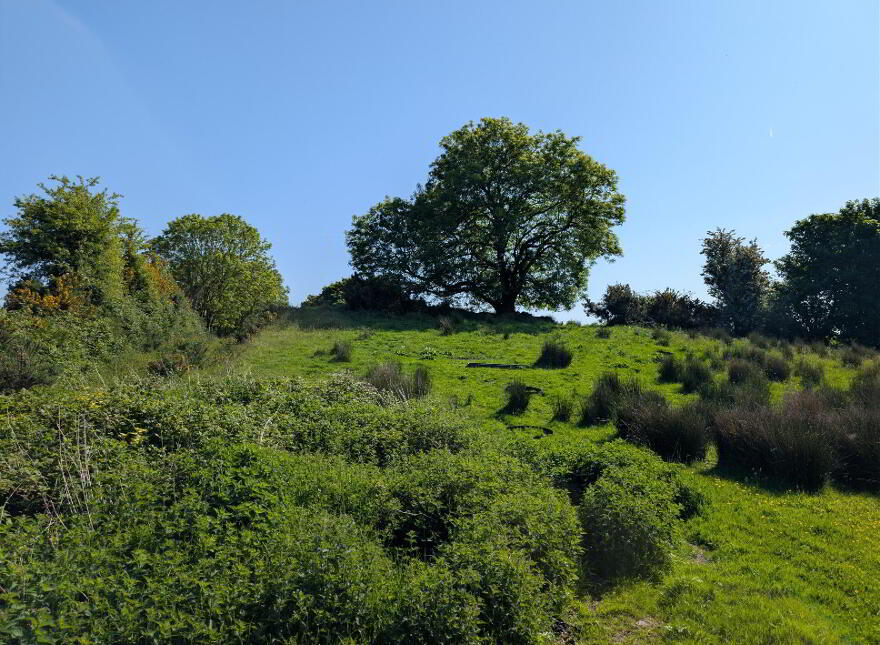 Derrynagower, Claremorris
