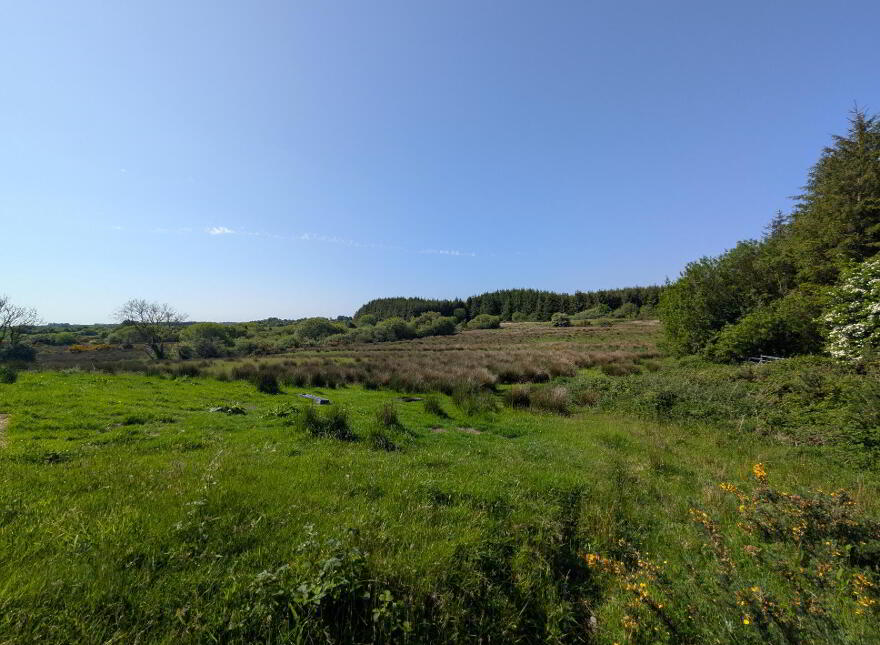 Derrynagower, Claremorris