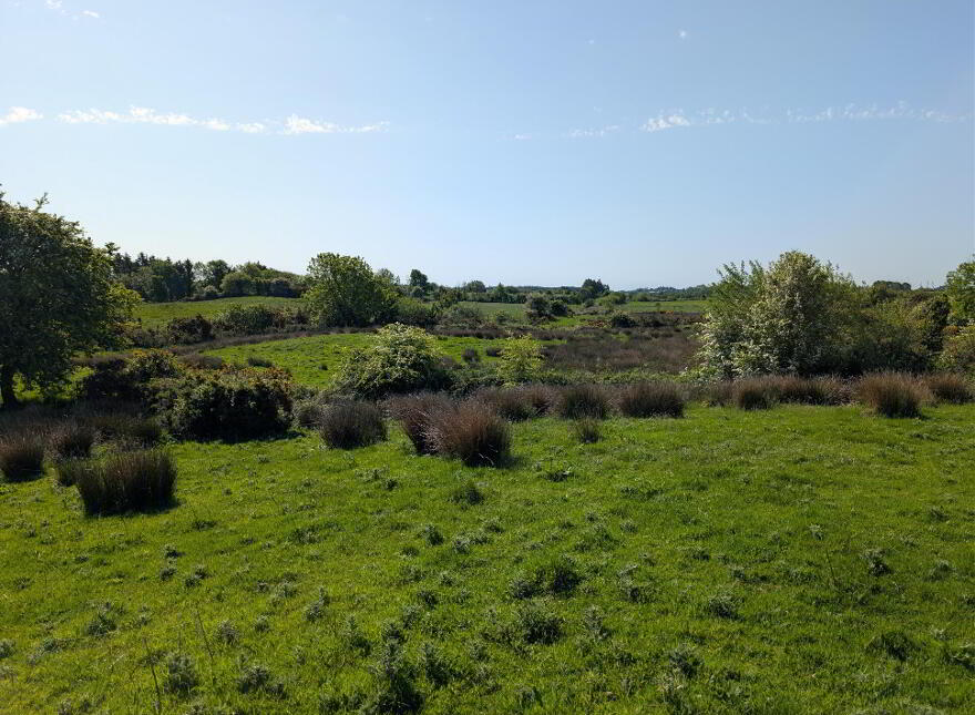 Derrynagower, Claremorris